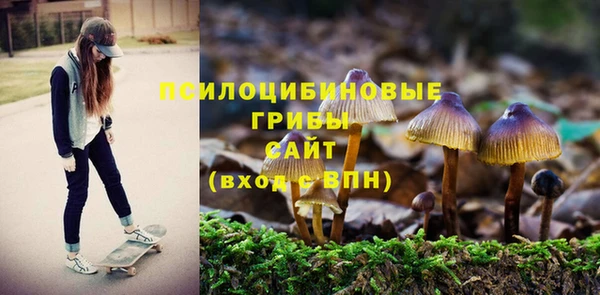 кокс Армянск